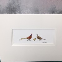 Pheasant family Print